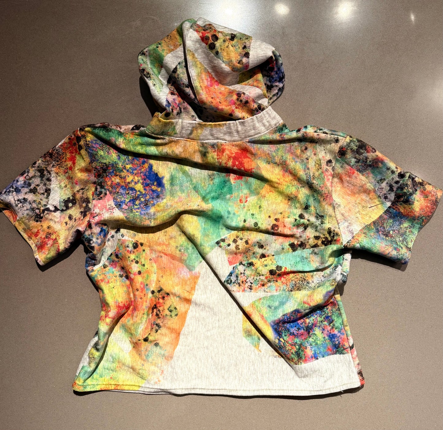 ML Chameleon hoodie
