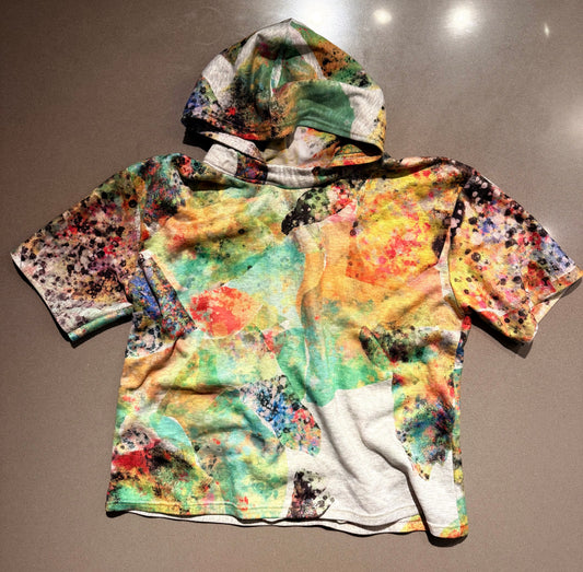 ML Chameleon hoodie